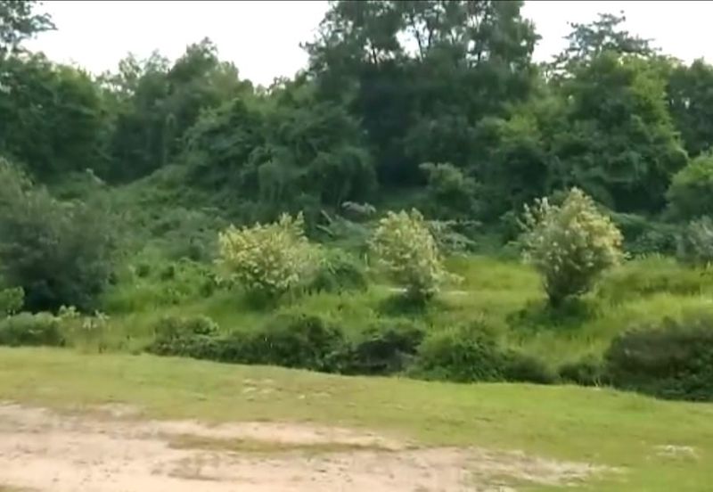 Bandar Baru Seri Alam