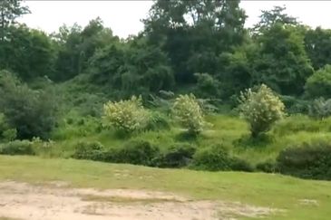 Bandar Baru Seri Alam