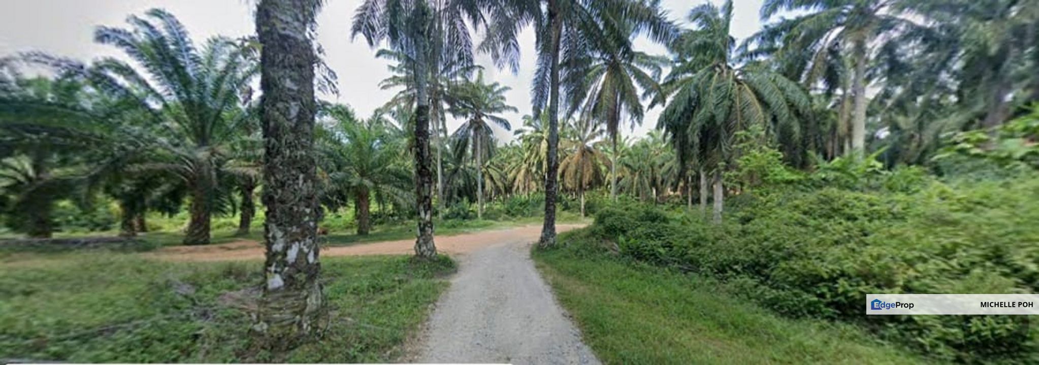 Johor Bahru Seri Alam 45 acre Zoning Residential Land SALE Near College Resident, 2 different place, Johor, Masai