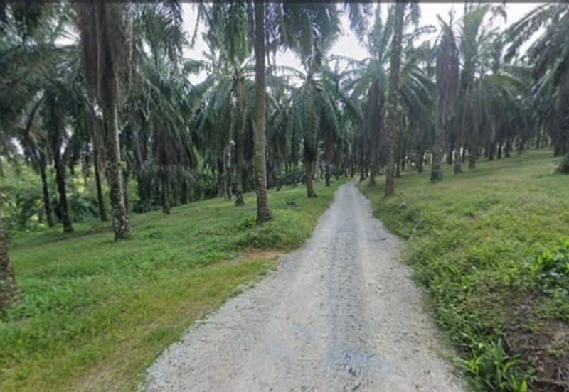 Bandar Baru Seri Alam