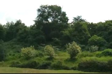 Bandar Baru Seri Alam