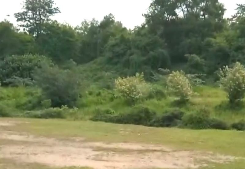 Bandar Baru Seri Alam