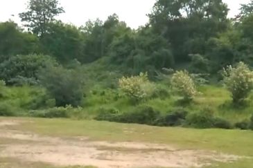 Bandar Baru Seri Alam