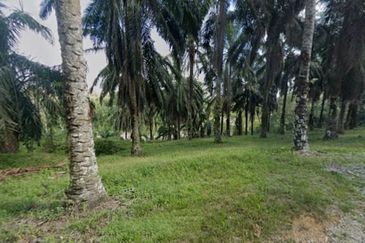 Bandar Baru Seri Alam