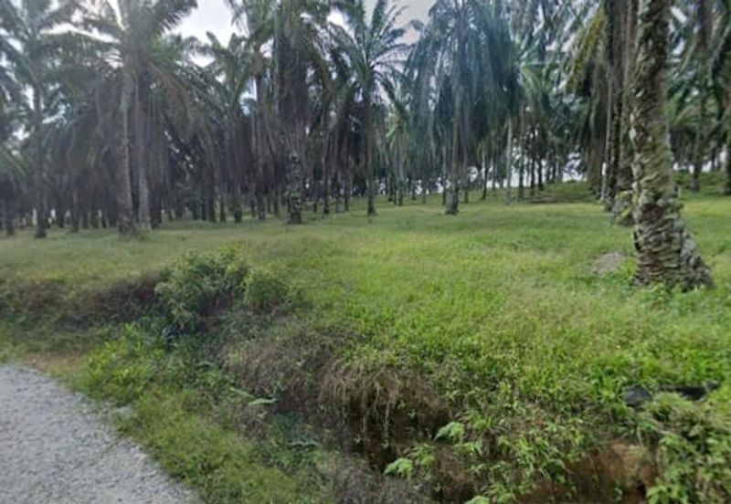 Bandar Baru Seri Alam