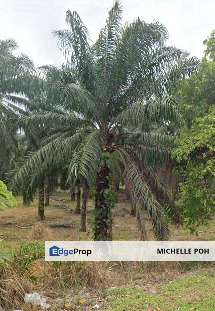 Johor Kluang Taman Puteri 1168 acres Mix develope Land for SALE, Johor, Kluang