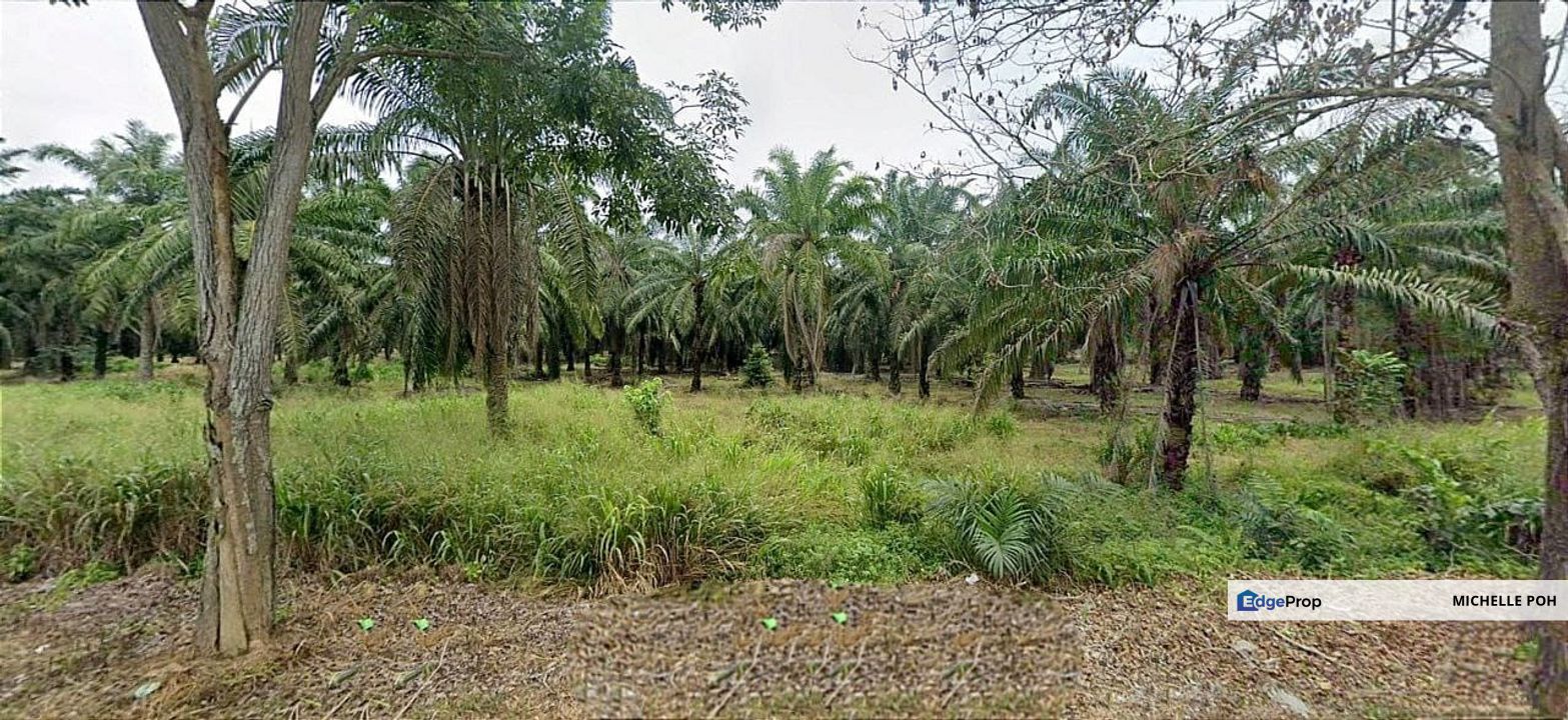 Johor Kluang Taman Puteri 1168 acres Mix develope Land for SALE, Johor, Kluang