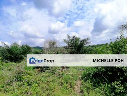 Johor Mersing 471 acres Palm Oil Land for SALE,  Got 2 Different place but nearby, Can buy One of them, Johor, Mersing