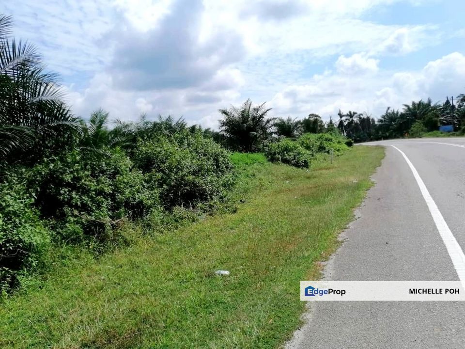 Johor Mersing 471 acres Palm Oil Land for SALE,  Got 2 Different place but nearby, Can buy One of them, Johor, Mersing