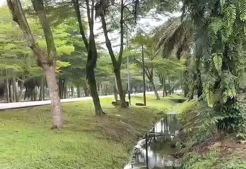 Taman Sri Pekan Nanas