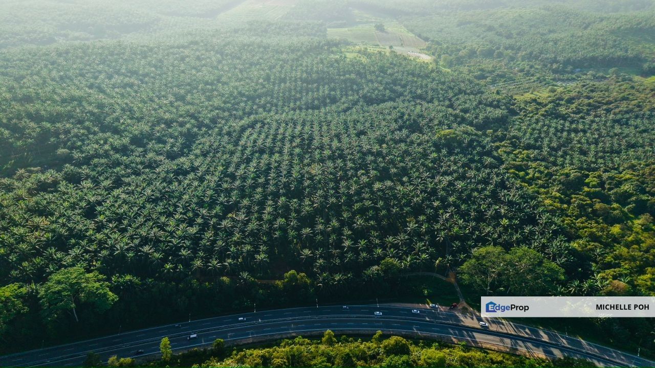 Batu 17, Jalan Johor, Near Ulu Tiram International and Freehold LAND, Johor, Pontian