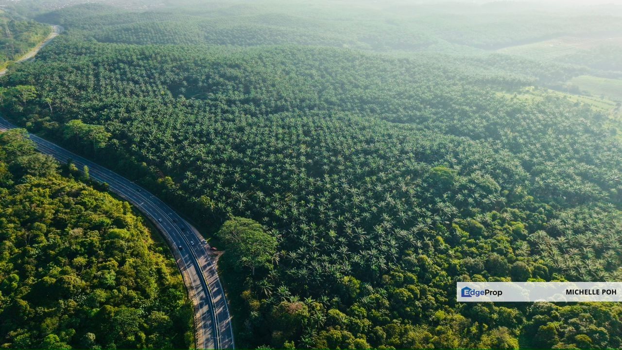 Batu 17, Jalan Johor, Near Ulu Tiram International and Freehold LAND, Johor, Pontian