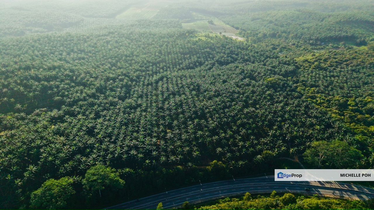 Batu 17, Jalan Johor, Near Ulu Tiram International and Freehold LAND, Johor, Pontian