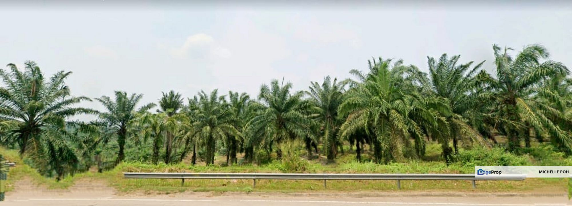 Johor Segamat Pogoh 1110 acres Mix Development Land for SALE, Johor, Segamat