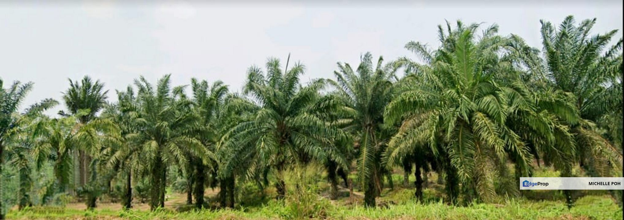 Johor Segamat Pogoh 1110 acres Mix Development Land for SALE, Johor, Segamat