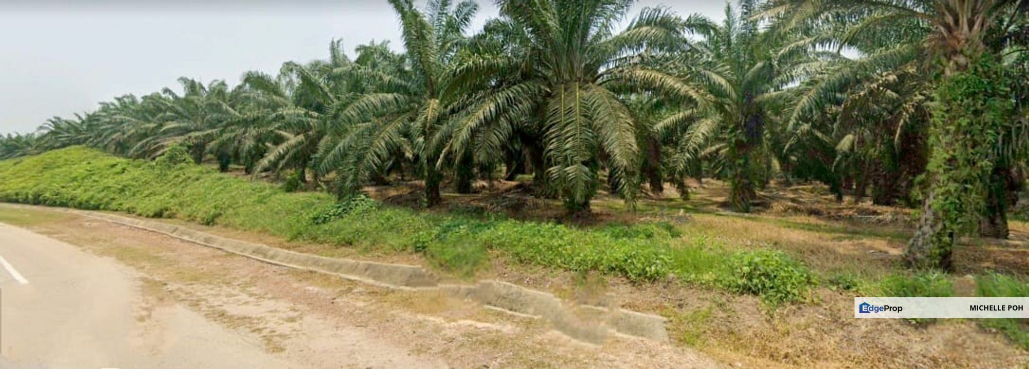 Johor Segamat Pogoh 1110 acres Mix Development Land for SALE, Johor, Segamat