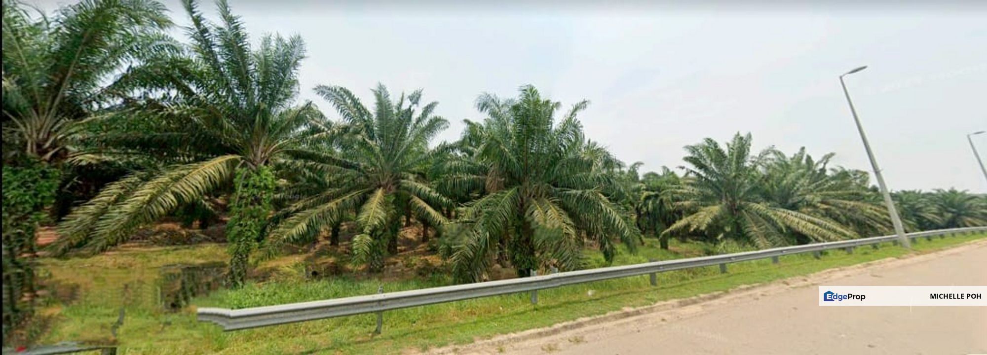 Johor Segamat Pogoh 1110 acres Mix Development Land for SALE, Johor, Segamat