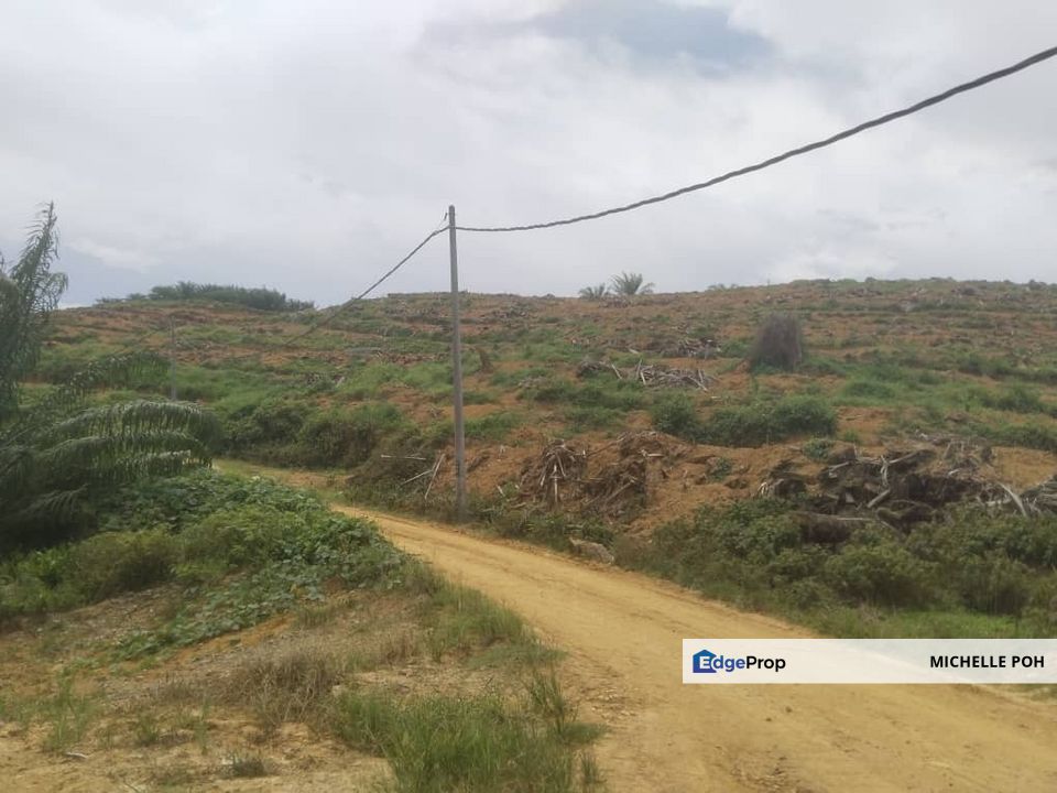 Perak Kuala Kangsar Sungai Siput 961 acres Palm Oil Agricultural Land for SALE, Perak, Ipoh