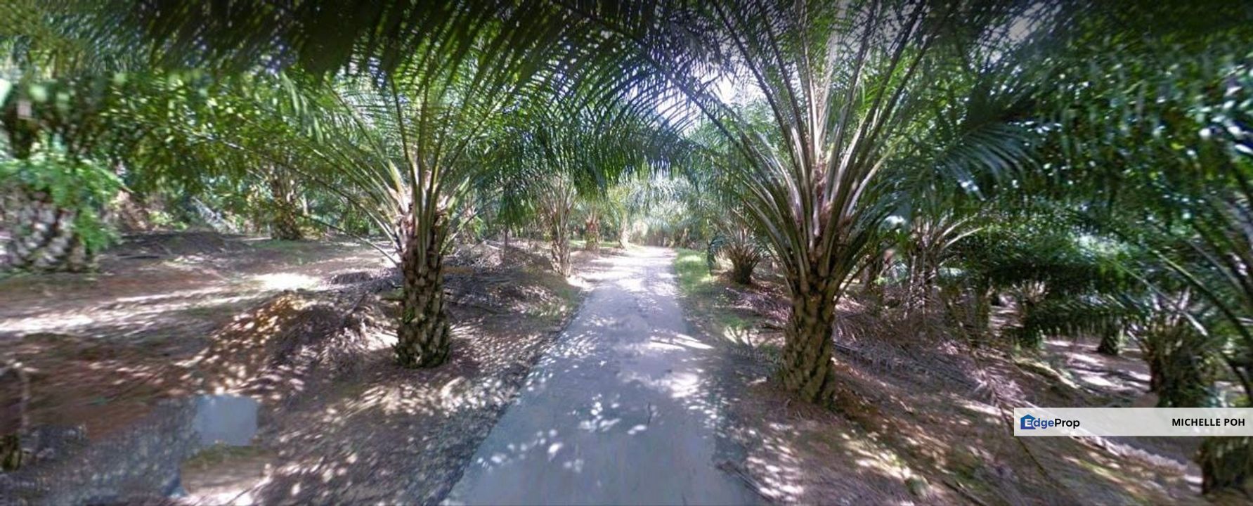 Perak Kuala Kangsar Sungai Siput 961 acres Palm Oil Agricultural Land for SALE, Perak, Ipoh