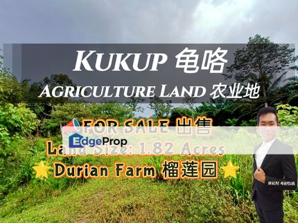Kukup Durian Farm For Sale, Johor, Pontian