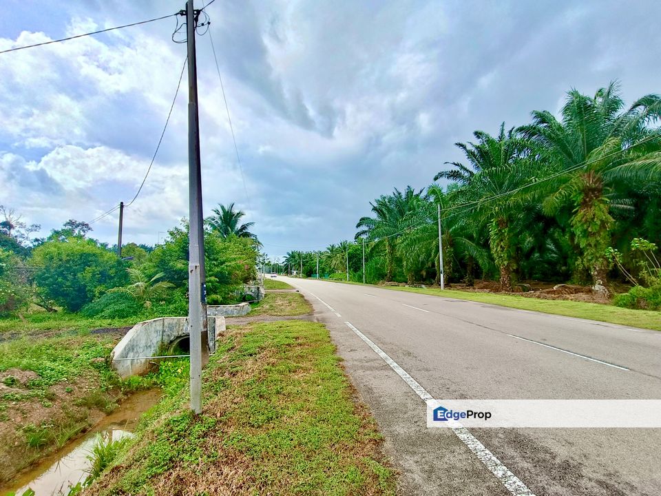 Kukup MAIN ROAD Land, Johor, Pontian