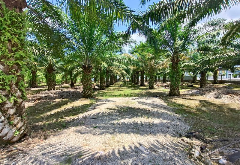 Kawasan Perindustrian Pontian