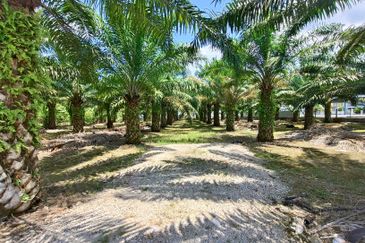 Kawasan Perindustrian Pontian