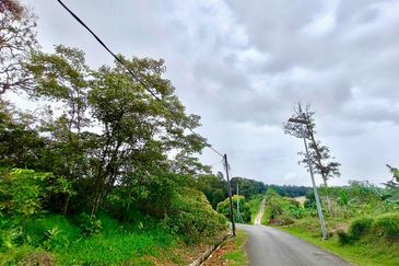 Senai Industrial Park