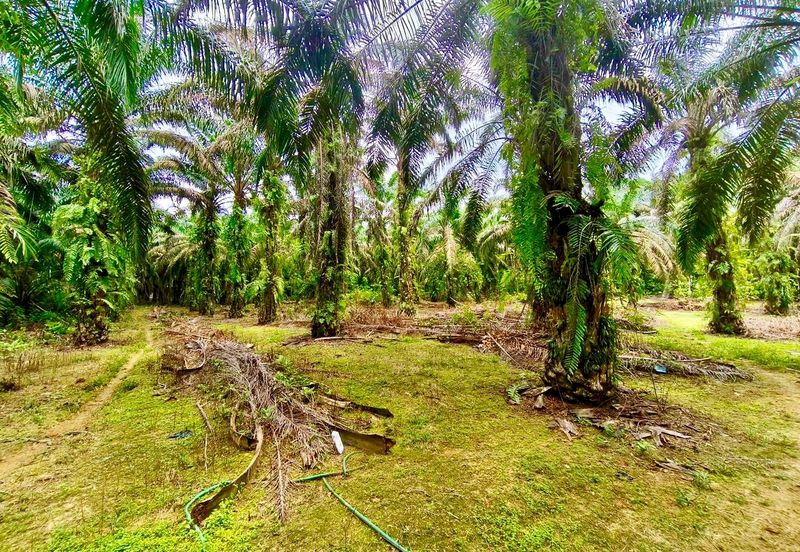 Kampung Paya Bukit Batu