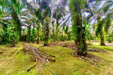 Kampung Paya Bukit Batu