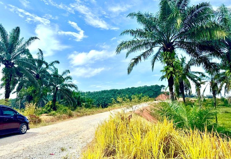 Kawasan Perindustrian Seelong