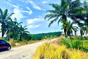 Kawasan Perindustrian Seelong