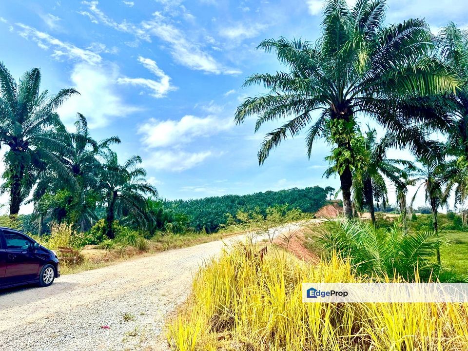 Seelong Zon INDUSTRY Land For Sale , Johor, Senai