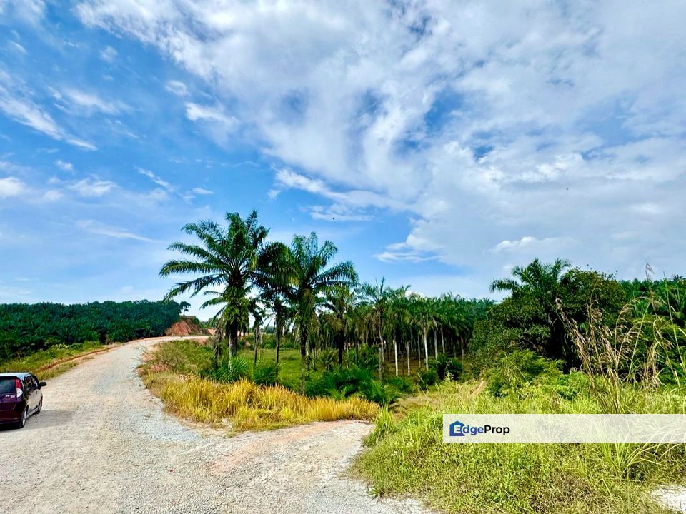Seelong Zon INDUSTRY Land For Sale , Johor, Senai