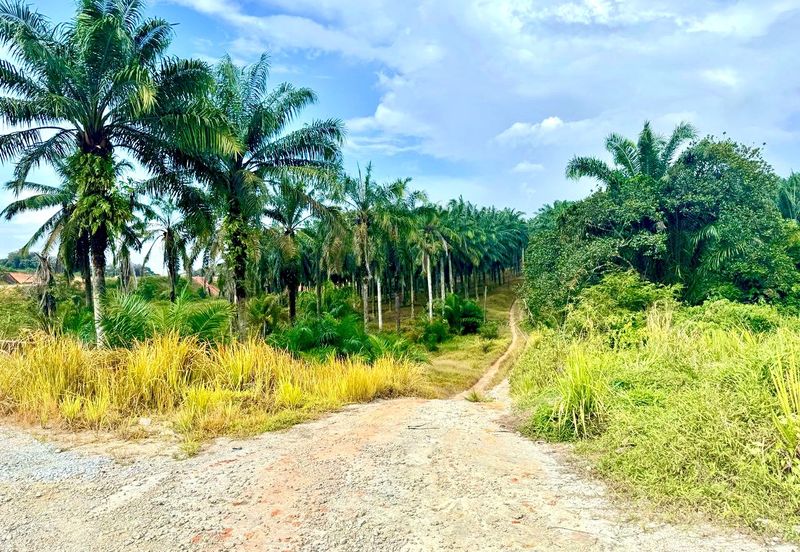 Kawasan Perindustrian Seelong