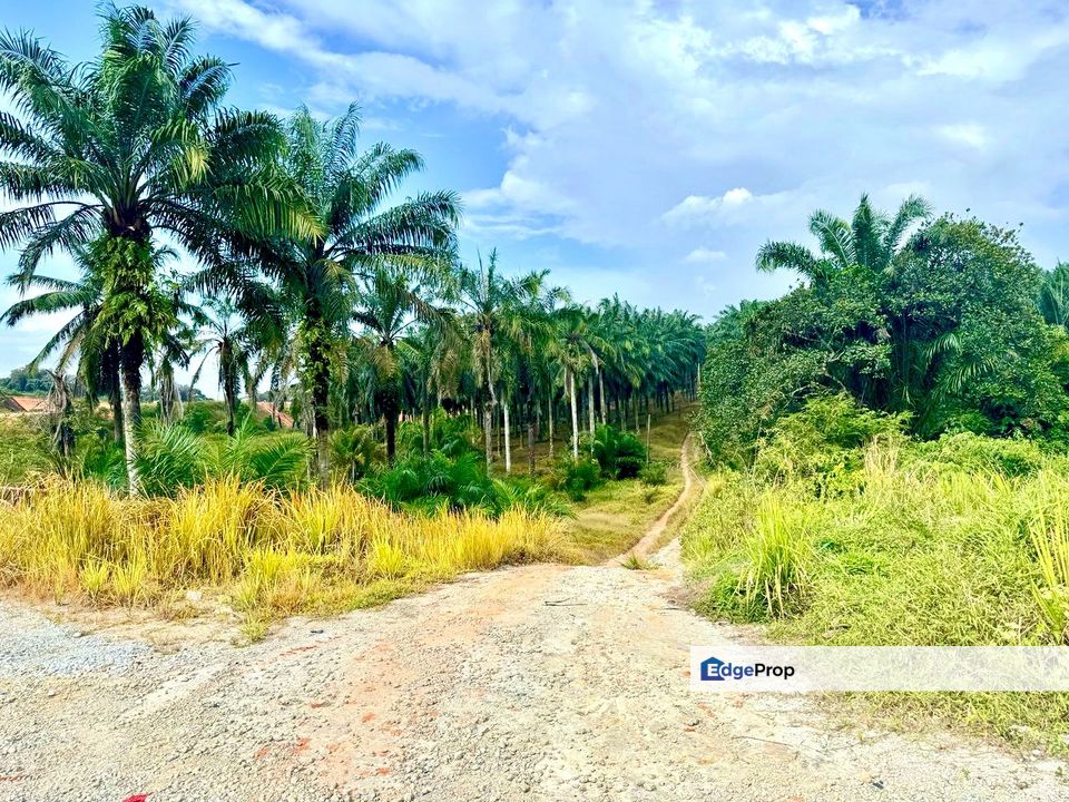 Seelong zon INDUSTRY Lands For Sale, Johor, Senai