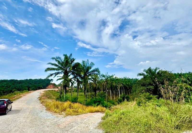 Kawasan Perindustrian Seelong