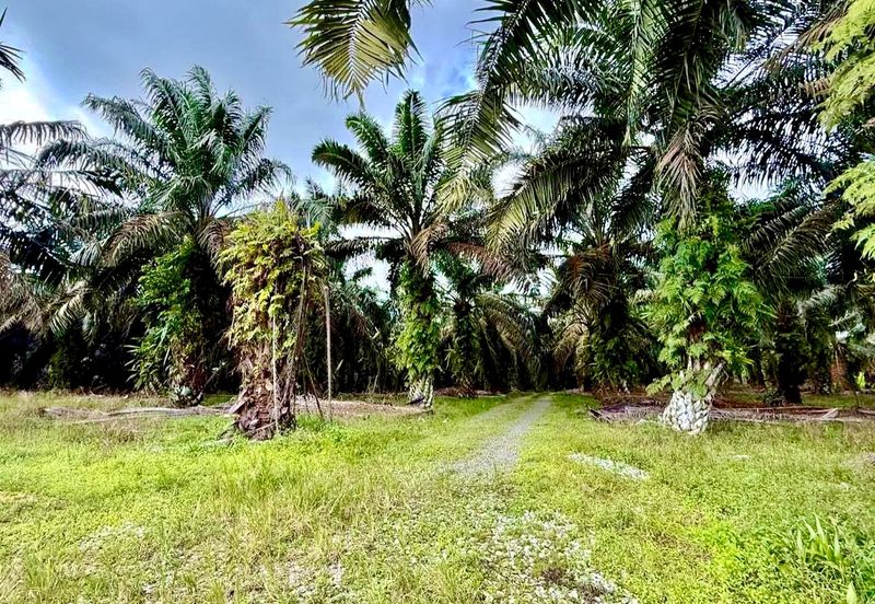 Kawasan Perindustrian Seelong