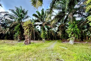 Kawasan Perindustrian Seelong