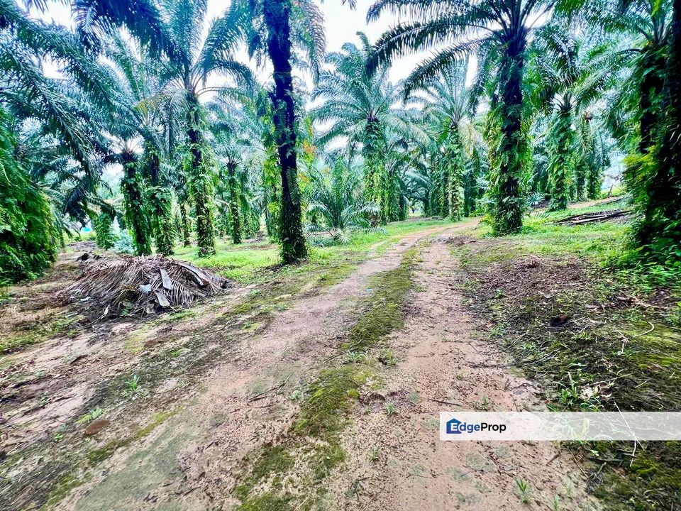 Gelang Patah Zon RESIDENTIAL Land For Sale , Johor, Nusajaya