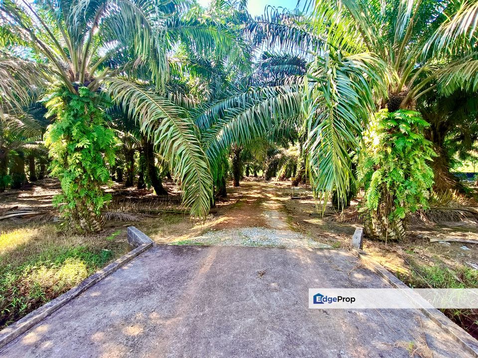 Pontian Zon RESIDENTIAL Land For Sale , Johor, Pontian