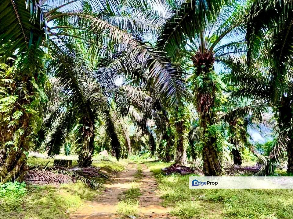 Senai MEDIUM INDUSTRY Land For Sale , Johor, Senai