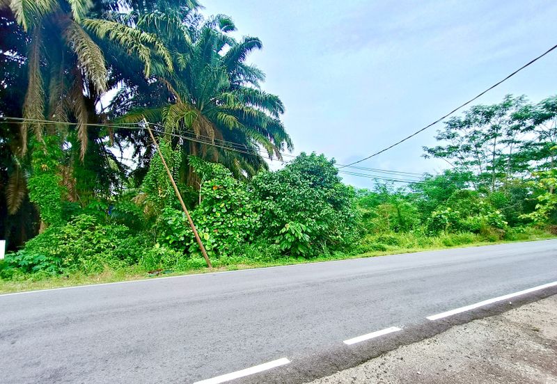 Pekan Nanas Industrial