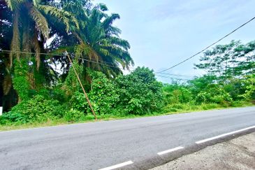 Pekan Nanas Industrial