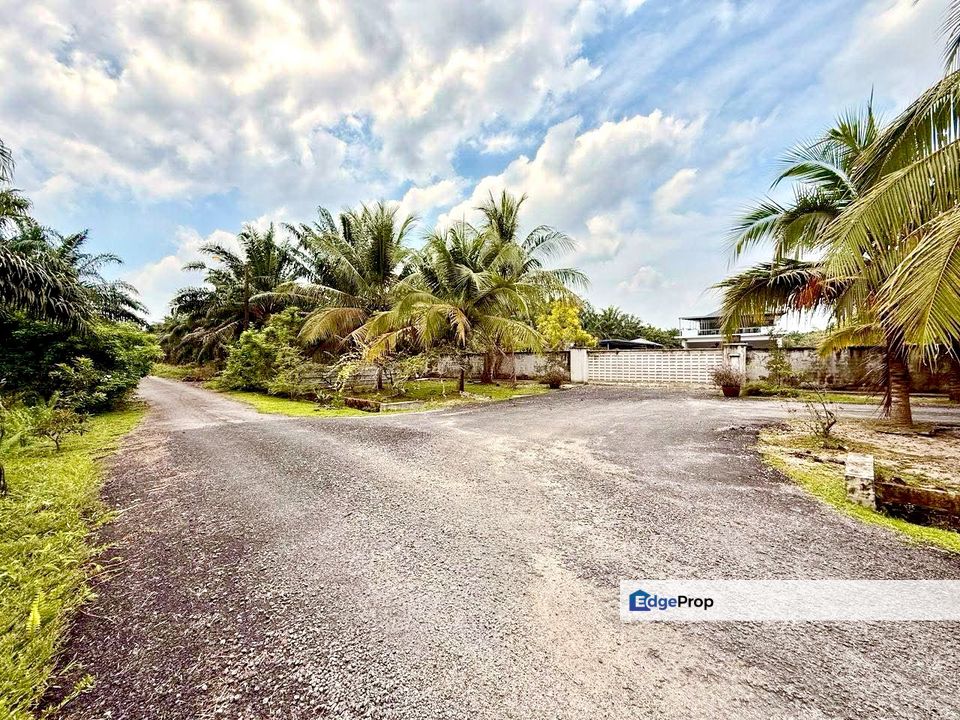 Pontian Road Side Land For Sale, Johor, Pontian