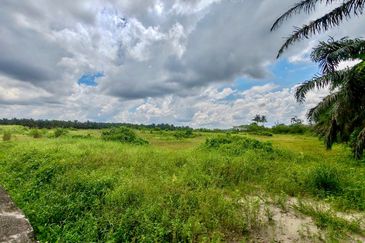 Pekan Nanas Industrial