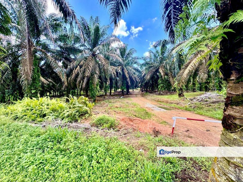 Sedenak Mixed Development Land For Sale , Johor, Kulai