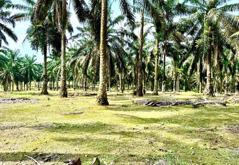 Taman Industri Kulai