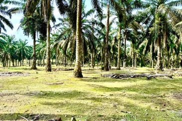 Taman Industri Kulai