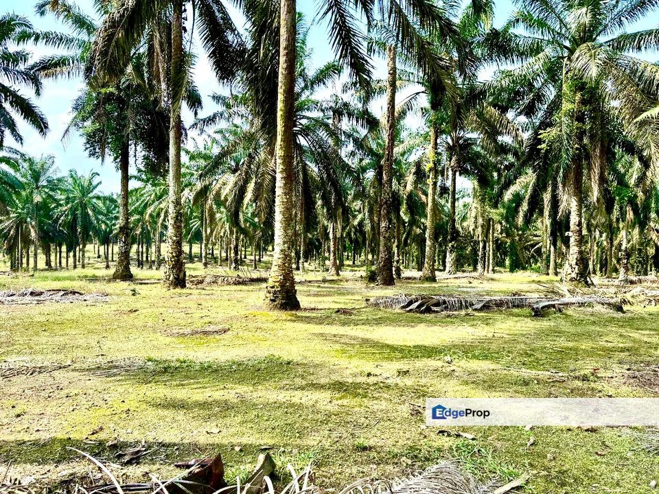 Kulai Zon INDUSTRY Land For Sale , Johor, Kulai